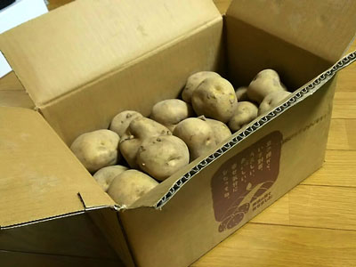 北海道新じゃが5kg