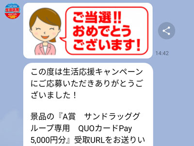 QUOカードPay5,000円分