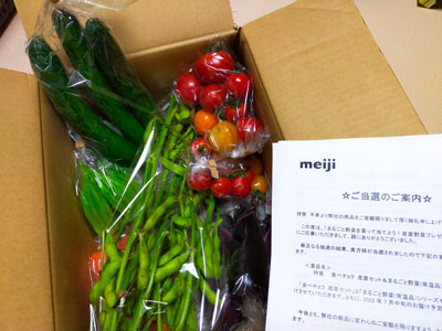 食べチョク産直セット&まるごと野菜シリーズセット